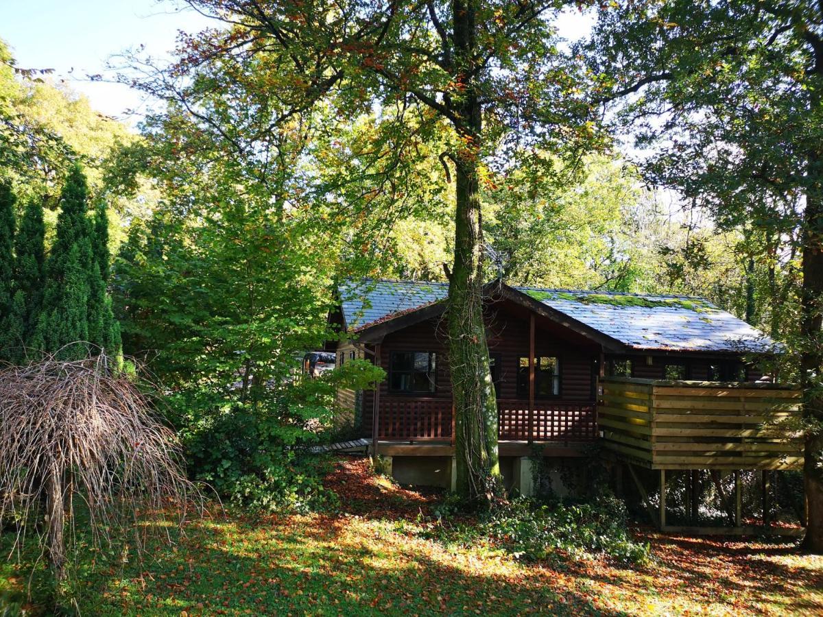 Bluebell 16-Hot Tub-Woodland Lodges-Pembrokeshire Carmarthen Exterior photo